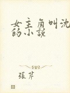 女主角叫沈清澜的小说