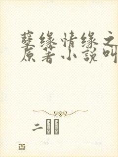 孽缘情缘之母情原著小说叫什么名字