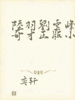 陆羽刘云峰鸿途奇才正版小说