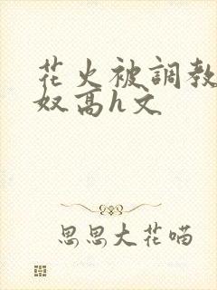 花火被调教成肉奴高h文