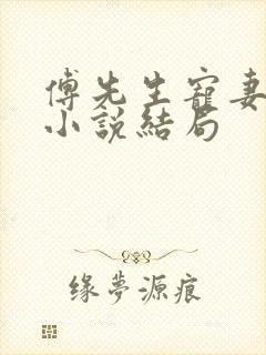傅先生宠妻无度小说结局封面