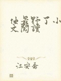 他最野了小说全文阅读