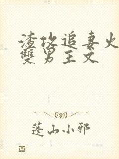 渣攻追妻火葬场双男主文
