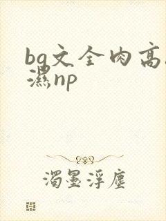 bg文全肉高h湿np封面