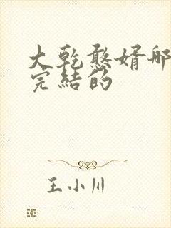 大乾憨婿哪里有完结的封面