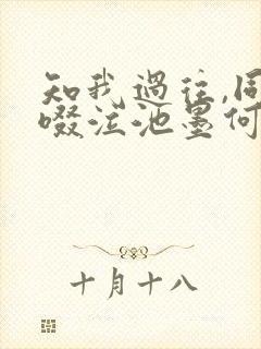 知我过往,同我啜泣池墨何枝