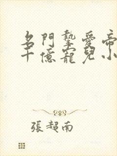名门挚爱帝少的千亿宠儿小说
