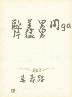 欧美男同gay片猛男封面
