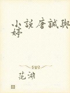 小说唐诚与马玉婷