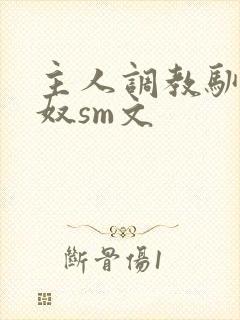 主人调教驯化贱奴sm文封面