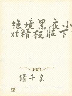 绝境黑夜小说txt精校版下载