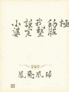 小说我的极品老婆完整版封面