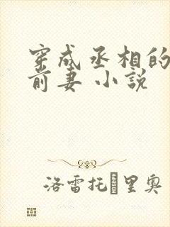 穿成丞相的炮灰前妻 小说