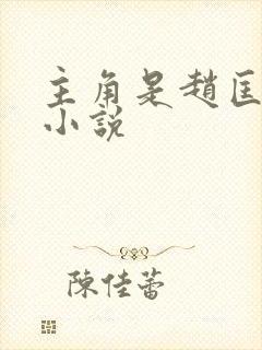 主角是赵匡胤的小说