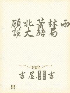 顾北萧林雨菲小说大结局封面