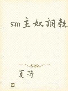 sm主奴调教文