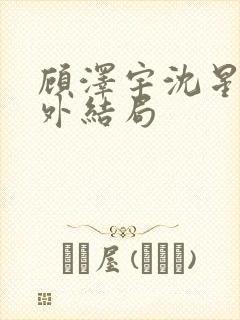 顾泽宇沈星晚番外结局