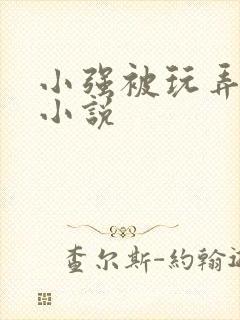 小强被玩弄少妇小说