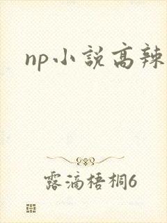 np小说高辣文