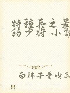 特种兵之最年轻的少将 小说封面