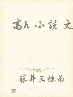 高h 小说 文封面