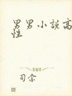 男男小说高h双性