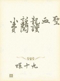 小说龙血圣帝免费阅读