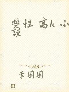 双性 高h 小说封面