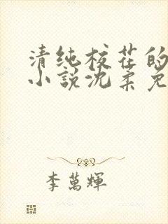 清纯校花的日常小说沈柔免费阅读封面