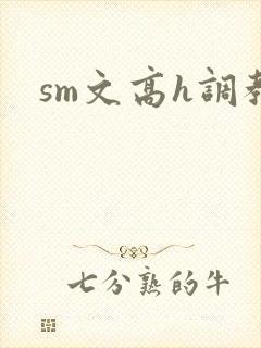 sm文高h调教