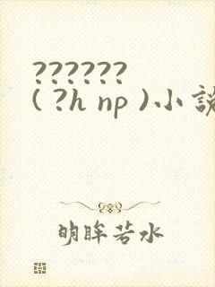 ?????? ( ?h np )小说