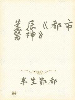 叶辰《都市极品医神》