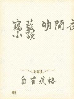 窃蓝 明开夜合小说封面