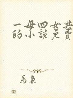 一母四女共一婿的小说免费阅读小冉封面