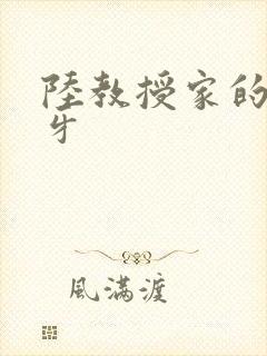 陆教授家的小月牙