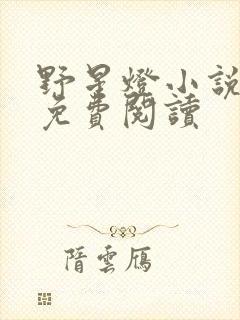 野星灯小说全文免费阅读