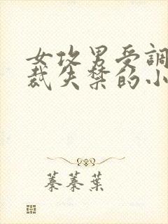 女攻男受调教总裁失禁的小说