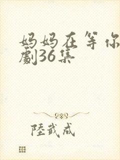 妈妈在等你电视剧36集