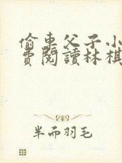 偷车父子小说免费阅读林棋