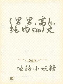 (男男,高h,纯肉sm)文