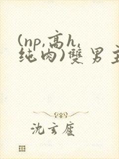 (np,高h,纯肉)双男主