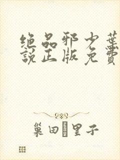 绝品邪少叶潇小说正版免费封面