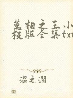 万相之王小说精校版全集txt