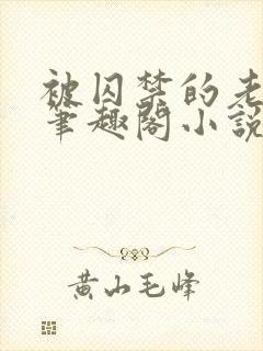 被囚禁的老实人笔趣阁小说