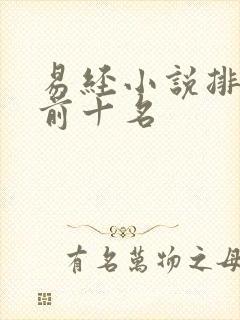 易经小说排行榜前十名封面