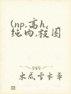 (np,高h,纯肉,校园