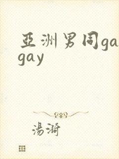 亚洲男同gaygay