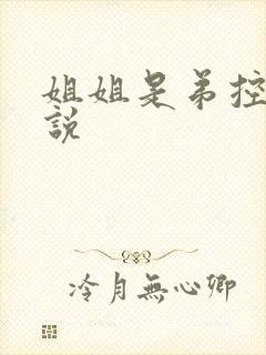 姐姐是弟控的小说