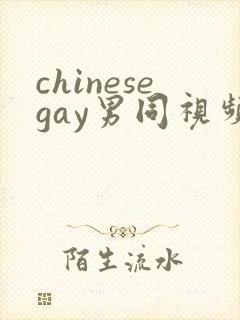 chinesegay男同视频网站封面