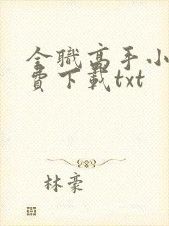 全职高手小说免费下载txt